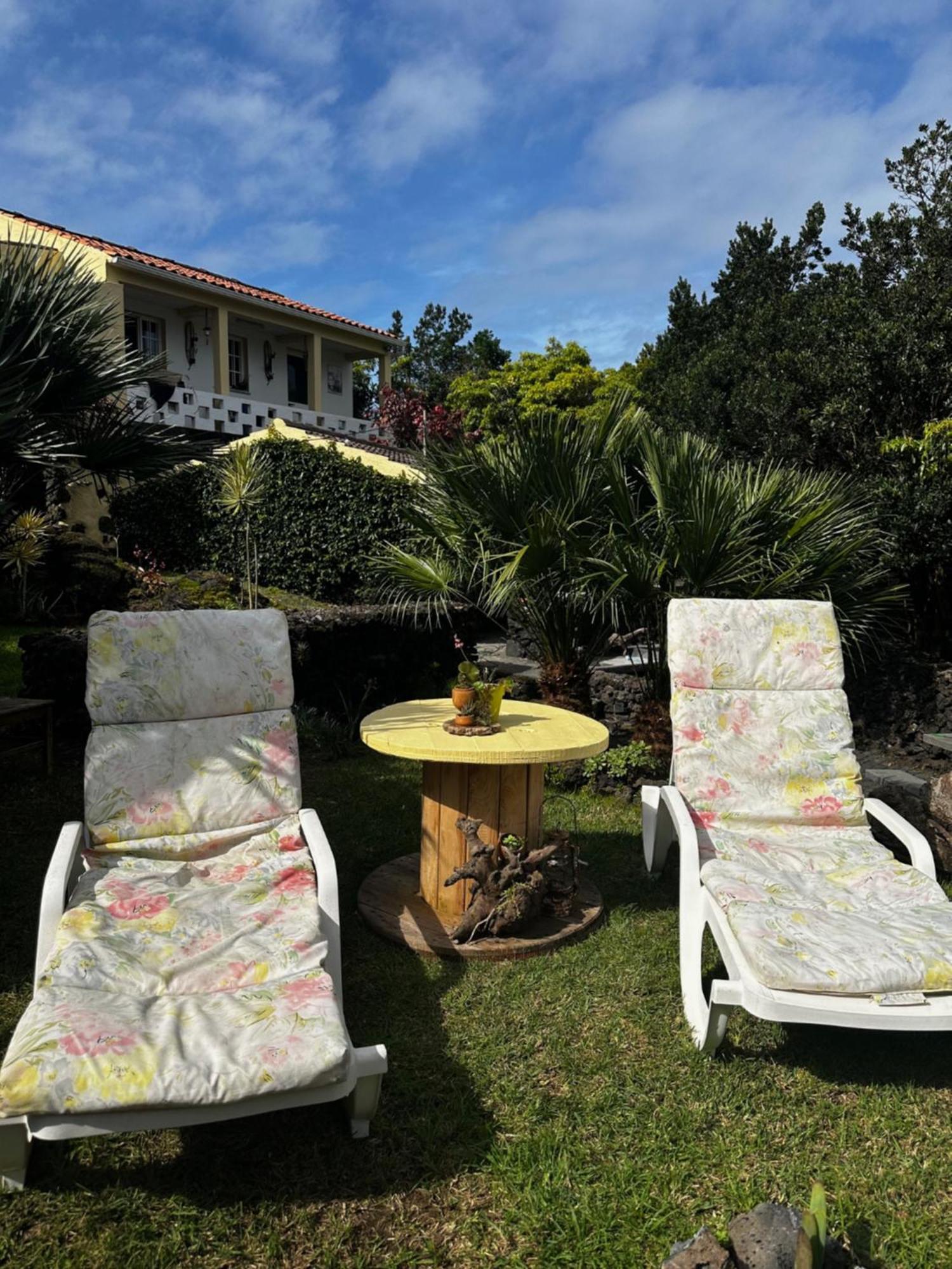 Portugal House Villa Praia do Norte Bagian luar foto